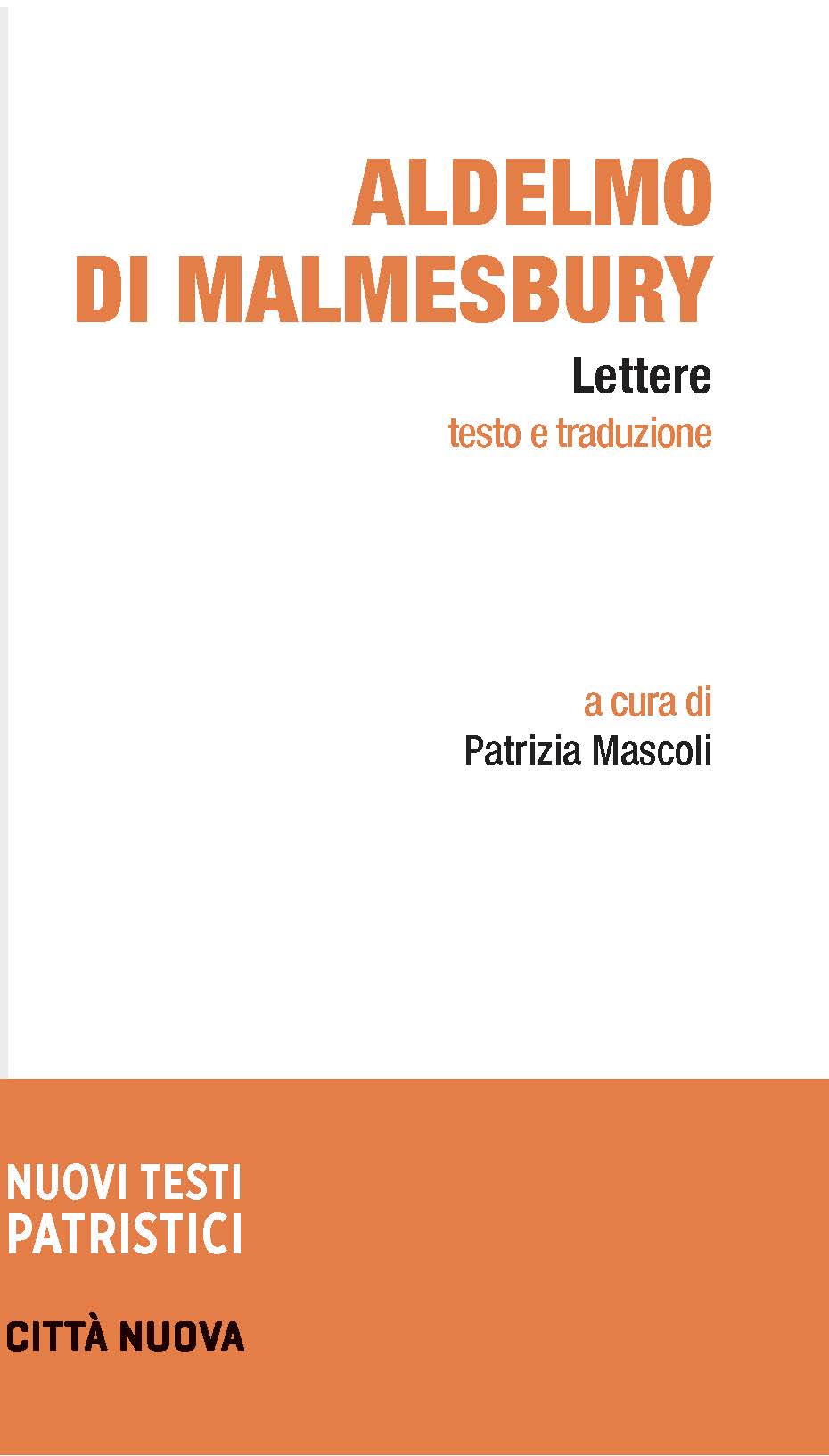 Lettere Aldelmo